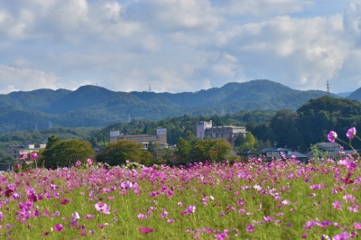 ※2024年の写真です